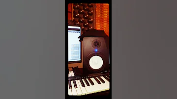 Short Salayesh Studio Wollo Dessie 