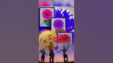 #flowers #colorchange #gif