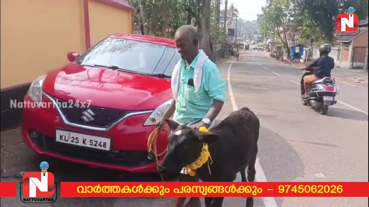 ഇഷ്ട സ്ഥാനാര്‍ഥി ജയിച്ചാല്‍ കാളകുട്ടനെ നേര്‍ച്ചയായി നല്‍കും : വാക്ക് പാലിച്ച് ശ്രീധരന്‍