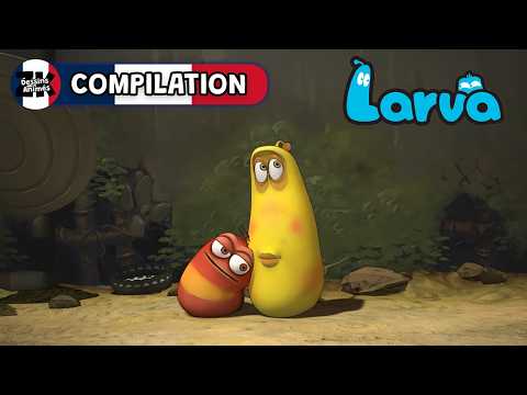 Un mauvais champignon + Plus encore ! 🍄 Larva 🐛 Compilation de 30+ min | ZeeKay Dessins Animés