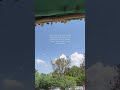 Perspective changes.....