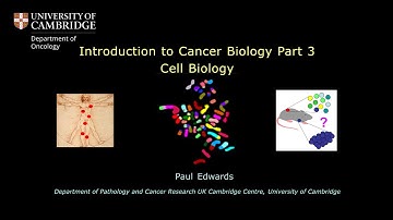 Video 3: Cell biology
