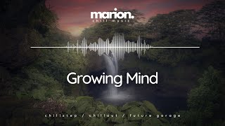 MARION - Growing Mind | ChillStep & ChillOut