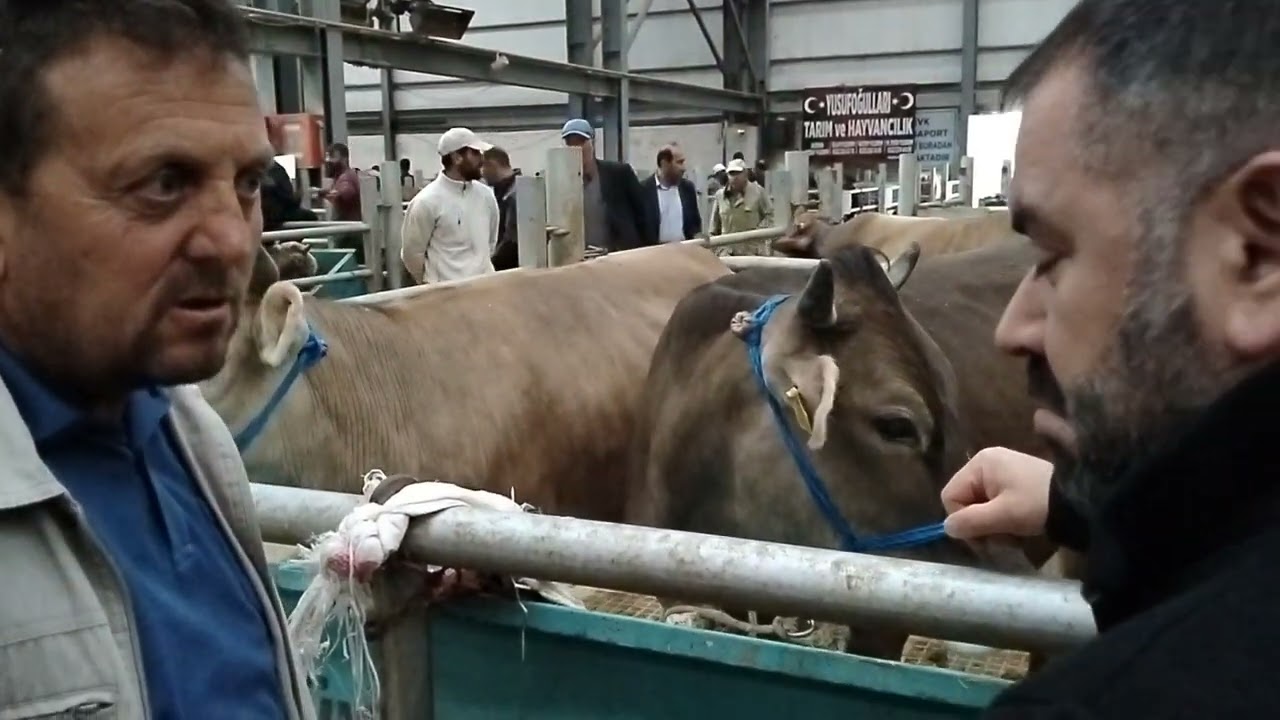 2025 kurban pazarı Erzurum