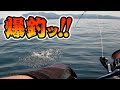 ランカーサイズ連発！カヤックのタックルで船釣りしてみたら爆釣した！