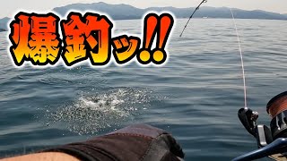 ランカーサイズ連発！カヤックのタックルで船釣りしてみたら爆釣した！