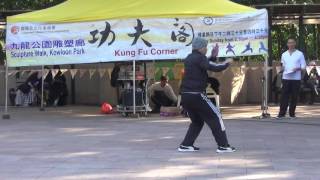 香港功夫表演2017012217