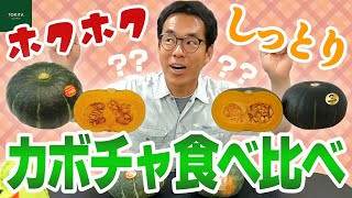 【味覚の秋】品種で違う!? カボチャの食感 食べ比べ！【食欲の秋】