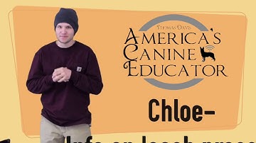 Using positive reinforcement and leash pressure - Dog Training with America