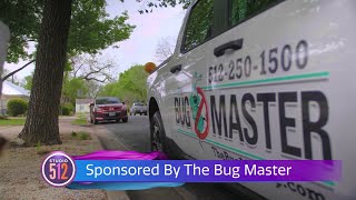 Winter Rodent Control For Businesses: Expert Solutions From The Bug Master