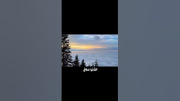 سورة غافر⋆｡˚ ⋆ #fypシ゚viral #اكسبلور #المصحف #viral #لايك #اللهم_صل_وسلم_على_نبينا_محمد #quran