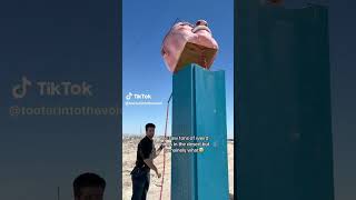 🐳🦞 #notmine #repost #tiktok #viral #tiktoks #trending #desert