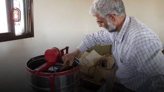 بوابة سوريا || المرحلة الثانية من جني العسل الطبيعي غرب حلب