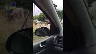 O Bylbyl Me Pika Pika