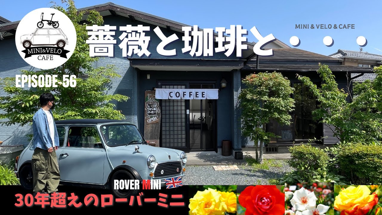 薔薇と珈琲とMINIを満喫！美しい島田市をブラミニ！　【ROVER　MINI】