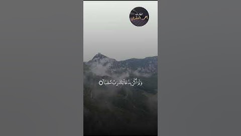 ما تيسّر من سورة مريم  #رواية_قالون  #القران_الكريم #راحة_نفسية