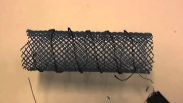 Squishy Robot Moves Like Earthworm | Video