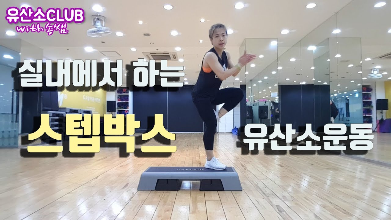 Lesson43. 스텝박스 유산소운동|미세먼지 피해서 실내에서 유산소 운동하기