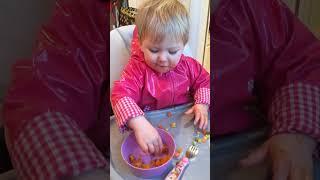 Feeding a 15-16 month old toddler