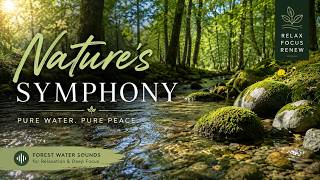 Clean Forest River Sounds for Relaxation & Deep Focus
