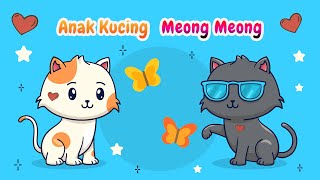 Anak Kucing Meong Meong Lagu Anak Kucing Meong Meong Kucing Lucu Mengeong Lagu Viral Anak