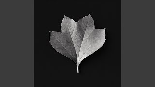 My Empty Heart