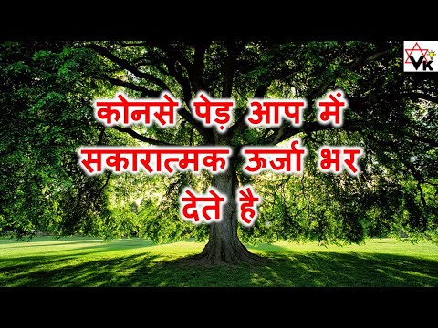 वीडियो: कौन से पेड़ ऊर्जा देते हैं और कौन से ले जाते हैं