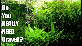 Does Your Fish Tank REALLY NEED Gravel or Sand?