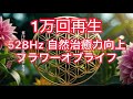 1万回再生【Flower of Life】528Hz 自然治癒力が上がり思考がクリアになる音楽
