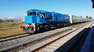 El 304 haciendo canje de aro en Estación Camet rumbo a Plaza Constitución