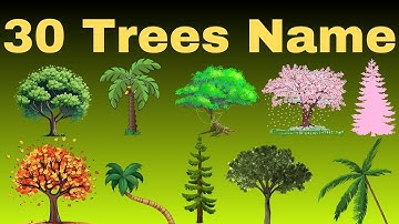 30 Types of Plants and Trees name in English | Plants and Trees Vocabulary | Trees and Plants