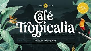 Latin Brazilian House Mix | Café Tropicalia House Mix Pt. 1