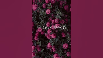 #المصحف #قرآن #قران_كريم #قران_كريم #اكسبلور #ليك من اجمل التلاوات