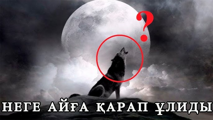 Ең масқара пиздалар