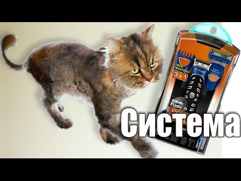 Бритвенная система Gillette Последние разработки для бритья.