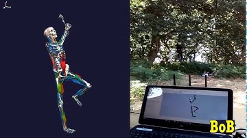 Motion capture and musculoskeletal model of an arborist climbing
