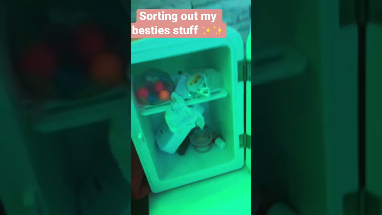 Sorting Out My Besties Stuff Shorts Viral Organization Minifridge