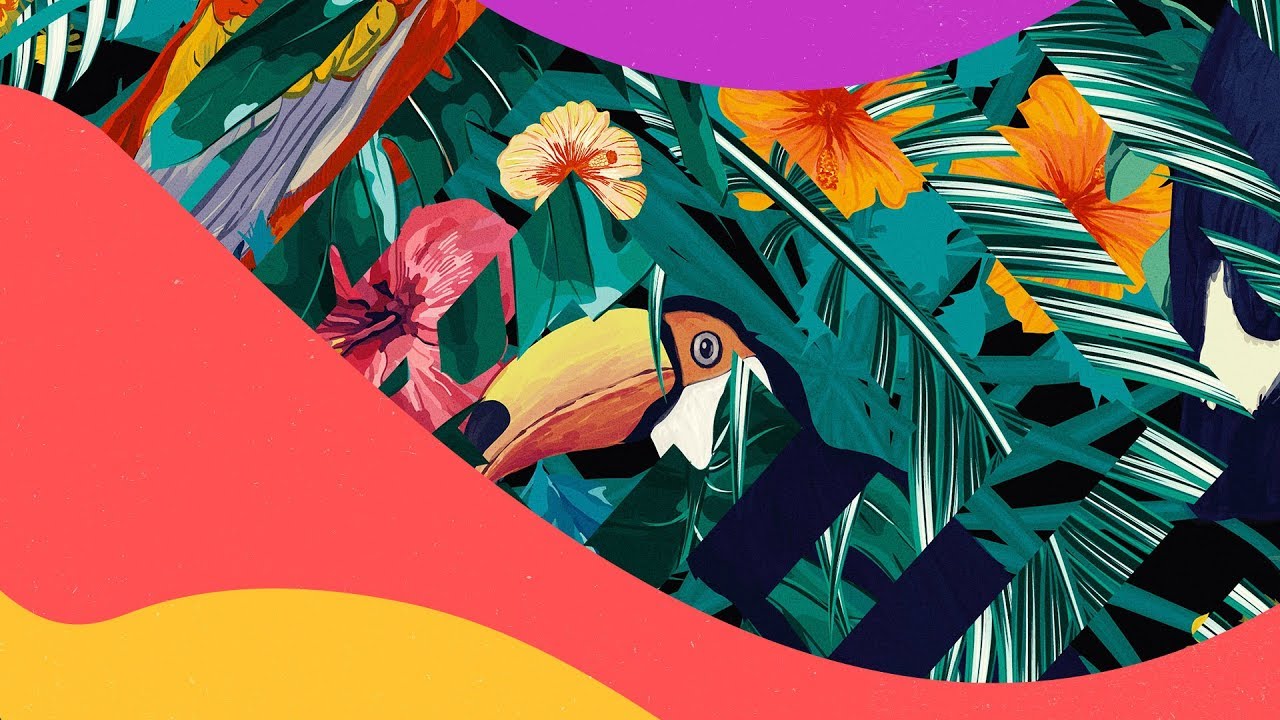 Guarda Dumbers - Life su YouTube Guarda Dumbers - Life su YouTube