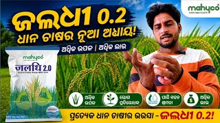 Jaladhi 2.0 Hybrid Paddy Seeds Full Information | High Yield Flood Tolerant Rice Variety 
