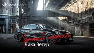 Вика Ветер - Черный мерин (audio)