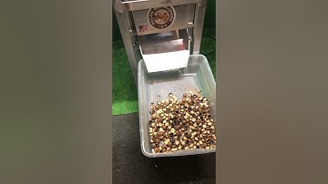 Macadamia Nut Cracker