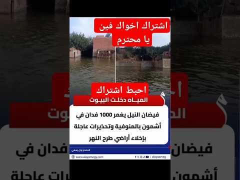 ٥ أكتوبر ٢٠٢٥ متابعه يا ساتر يا رب ملاح نيرع اضخك المخابرات العامة المصرية
