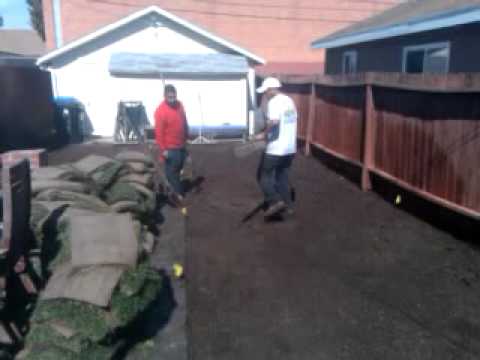 Jennifer Grading and leveling the soil