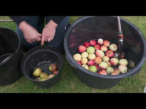 Video: Hvordan Man Laver æble Vaniljesambuc