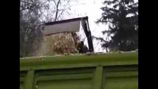 Bei Bursfelde Und Löwenhagen Faule Bäume Zu Energieholz