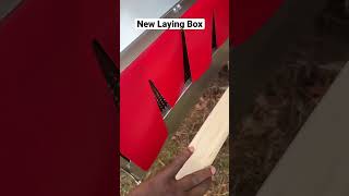 We Will See If The Best Nest Box Is Everything They Say It Is. The Chickens Will Tell Us With Eggs