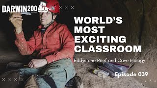 World's Most Exciting Classroom Episode 39: Eddystone Reef and Cave Biology