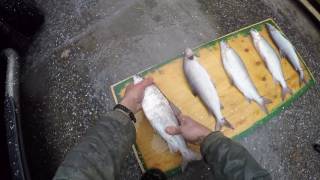 How to clean fish (remove scales) in seconds (pressure washer)