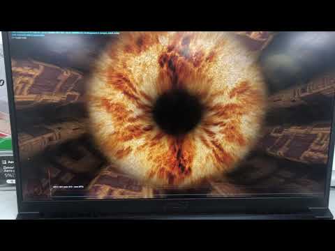 msi fps show msi fps show