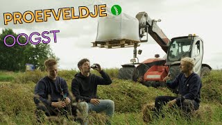 Proefveldje Aflevering 8 - Oogst Combinen Regeneratieve Landbouw